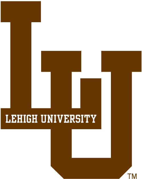 Lehigh Mountain Hawks 0-Pres Alternate Logo iron on transfers for fabric